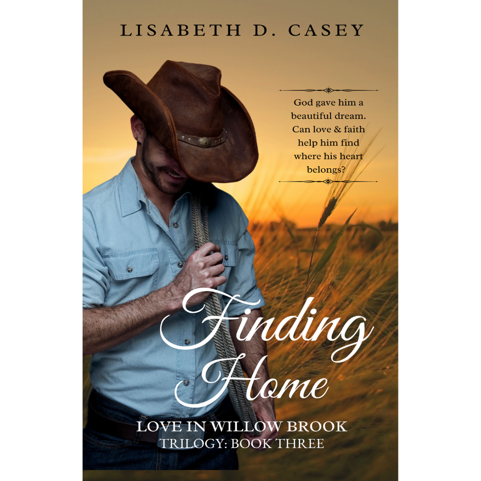 ebook Love in Willow Brook - 3 -Finding Home