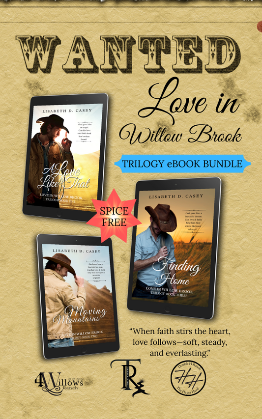 eBook Love in Willow Brook 1-3 Bundle